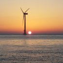 판판포포 이미지