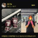 조대팀맥 이미지