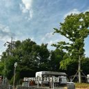 초미동길 | 대전 근교 카라반 추천 금산만악리수목원 오토캠핑장 위드포레스트 카페 후기