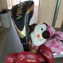 채인지 골프연습장 이미지