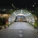 덩쿨농장 | 알파카와 동물들이 있는 대구 팔공산 대형베이커리카페 브런치달랏