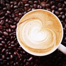 바리스타 2급 이미지