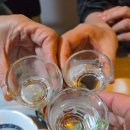 강릉 홍제동 분위기 맛집 쉼’터 솔직 후기 ☕🍻
