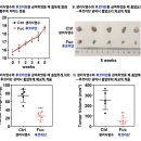 G00261 네이버블로그
