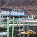 천동송어양식장횟집 이미지