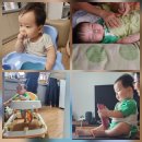 J농장 | 2025.09.04.목 (332일차) J의 P같은 하루 - 농장레스토랑, 어머님댁에서 꽃게파티 (출처 막내고모부)