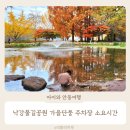 월영연못공원 | 낙강물길공원 가을 단풍 명소 주차장 소요시간 아이와 안동여행