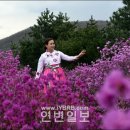 진달래목장 이미지