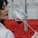 글라스홀릭 이미지