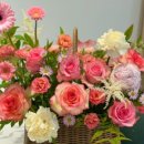 산호동285 이미지