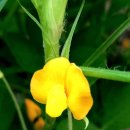 블루비트㈜ | [7월27일] 모바일로 세상을 돌아보다