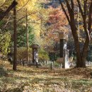 사나사(사찰 앞) 이미지