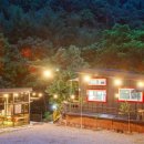 힐링포레스트 이미지