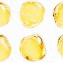 여의도의원 이미지