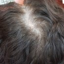 수화 헤어톡 이미지