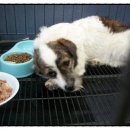 미니스톱 신내점 이미지