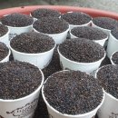 까치슈퍼 이미지