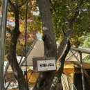 힐링캠프캠핑장 | 원주 키즈 캠핑장 매봉힐링캠프 단풍존 3박 후기