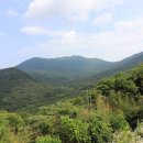 산사에서 찾는 소확행 더힐링스토리 「처음이와 밝음이의 무등산 산책」 이미지