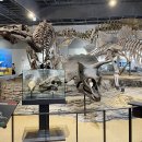 꿈이자라는땅 | 아이의 호기심이 자라는 곳｜국립과천과학관 후기