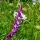 지천농협 하나로마트 이미지