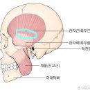 나우미 이미지