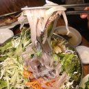 생생오징어 이미지