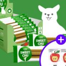 에이치덴탈 이미지