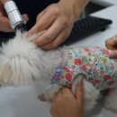 온동물병원 이미지