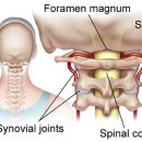 위치어데이 이미지