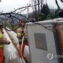 선거 농로 이미지