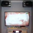 댕댕이코인노래연습장 이미지