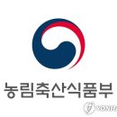 무릉도원면-15 강원일보