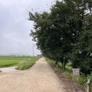 다온민박 이미지