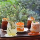 커피콘테나 | 제주 동쪽카페 조천 감귤밭 카페 더 콘테나 제주 내돈내산 후기