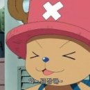 네르하쏠 이미지