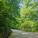 기림사 - 918 | [경주 가볼만한 곳] 기림사 (사찰) 다녀온 후기