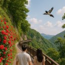 동대문메이퓨어의원 이미지