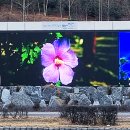 화랑유원지 제2주차장 이미지