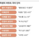 곧 이런 애들이 신입사원으로 들어옴 이미지