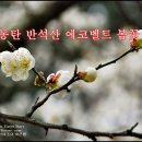 노작호수공원 이미지