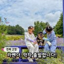 감마루농원 | “개화율 90% 막차 타세요!” 고창 청농원 라벤더축제 아이와 반려견 동반여행