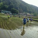 거산1리 이미지