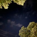 충현목장 이미지