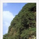 동양약업사 이미지