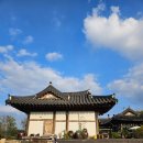 강아지와 산책 | 경북 청도 애견동반여행｜청도읍성에서 강아지와 산책한 리얼 후기