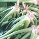 장화농장 이미지