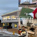 멍멍 | 화순 애견카페 나주 멍멍드림 후기
