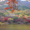 내수면환경생태공원주차장 이미지