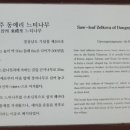 진주 동예리 느티나무 이미지